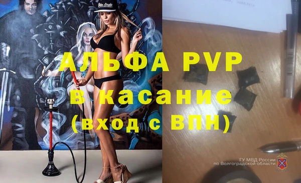 эйфоретик Приозерск