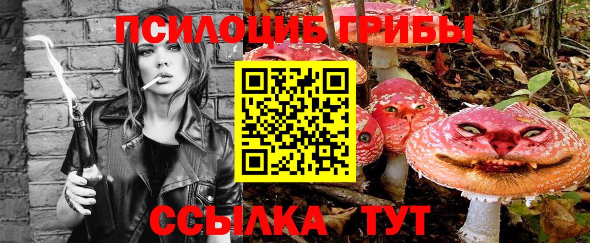 Галлюциногенные грибы Psilocybine cubensis  Псилоцибиновые грибы ЛСД  Вход с VPN  Дальнереченск 